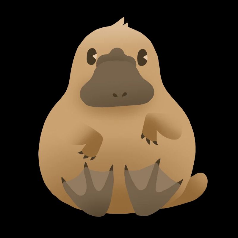 Ornithorynque (ornithorynque)