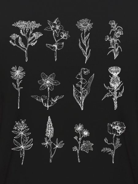 Wildflowers