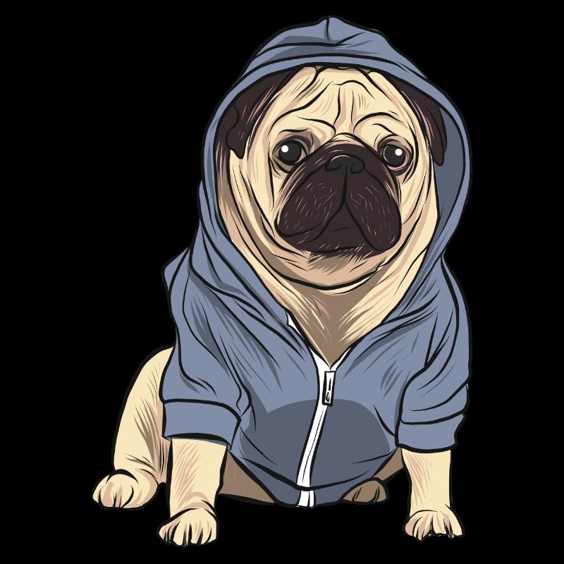 Mops mit Trainingsjacke