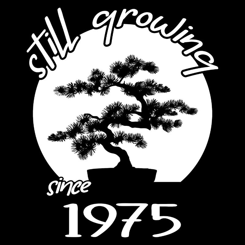 1975 Birthday Bonsai tree "Still growing" Nebari