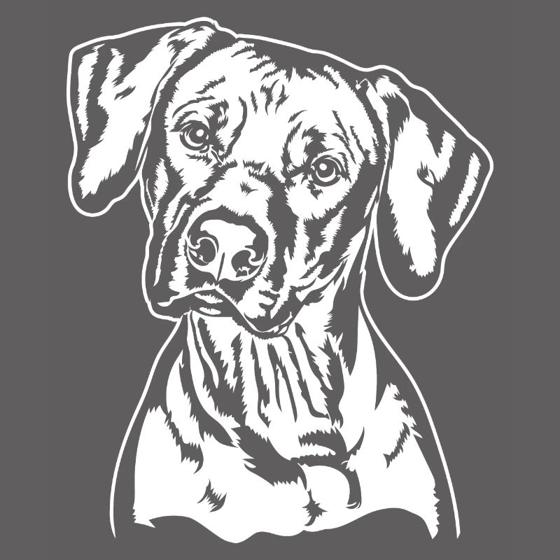 RHODESIAN RIDGEBACK Hunde Portrait Wilsigns