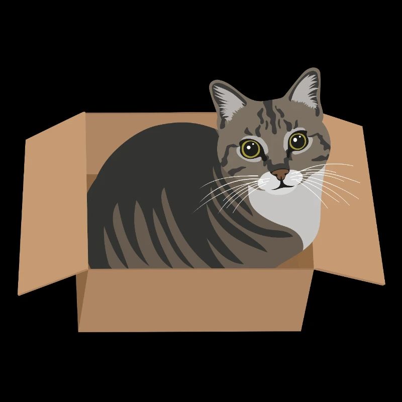 Chat dans une boîte