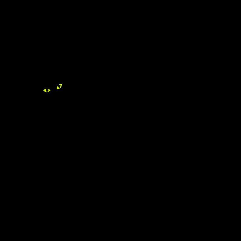 CAT LADY mit schwarzer Katze und gelbe Augen!