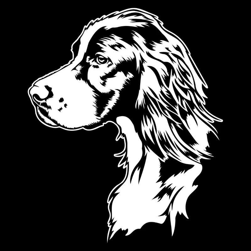 Irish Red and White Setter Jagdhund Hunde Wilsigns