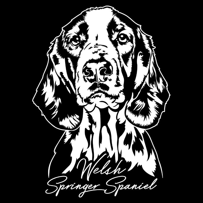 Welsh Springer Spaniel Portrait Dogs Wilsigns