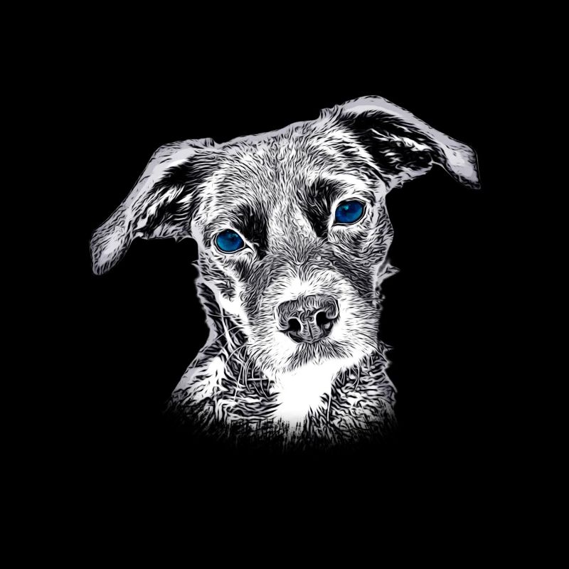 Cute dog head with balue eyes