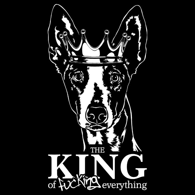 Podenco Roi de tout Dire Chiens Wilsigns