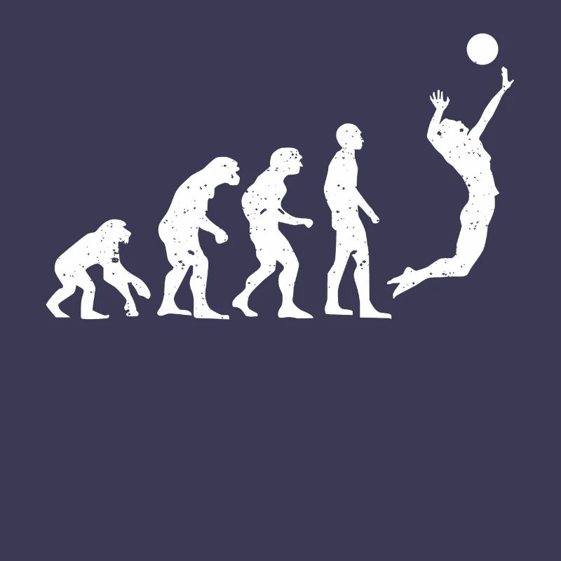 VOLLEY-BALL EVOLUTION!