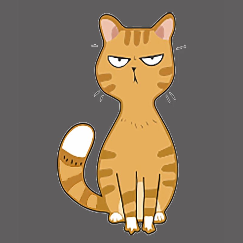 Katze böse oder niedlich