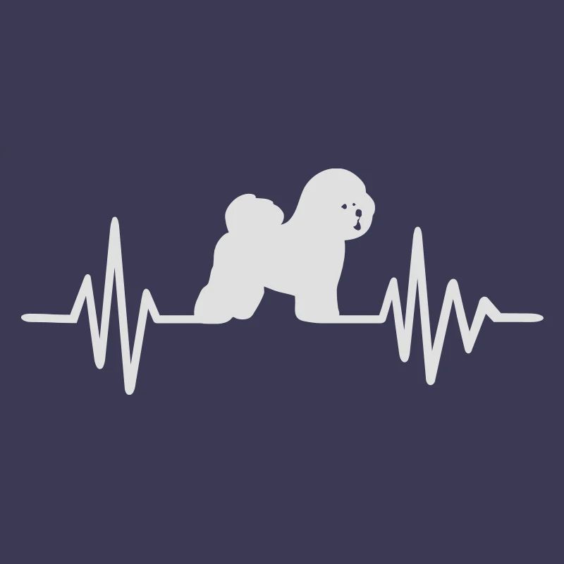 Bichon Frise