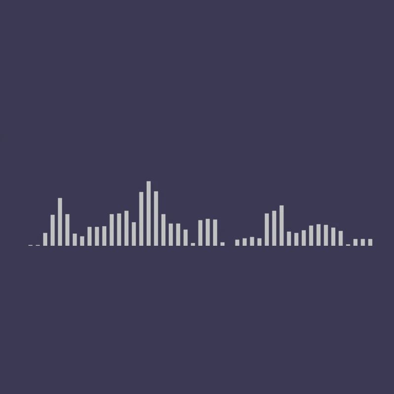 Visualizer