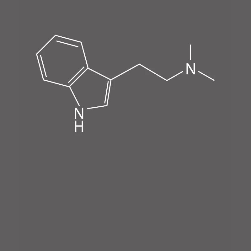 Molécule DMT Ayahuasca Dimethyltryptamine