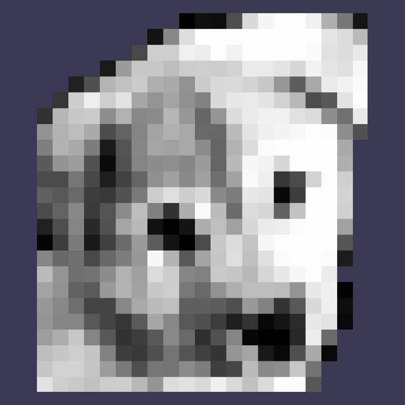 Pixel Jindo chiot