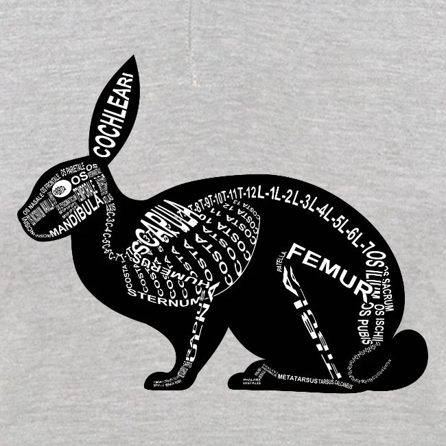 squelette de lapin
