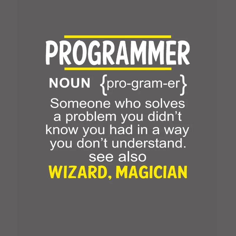 Funny Developer Coder IT Programmer Gift