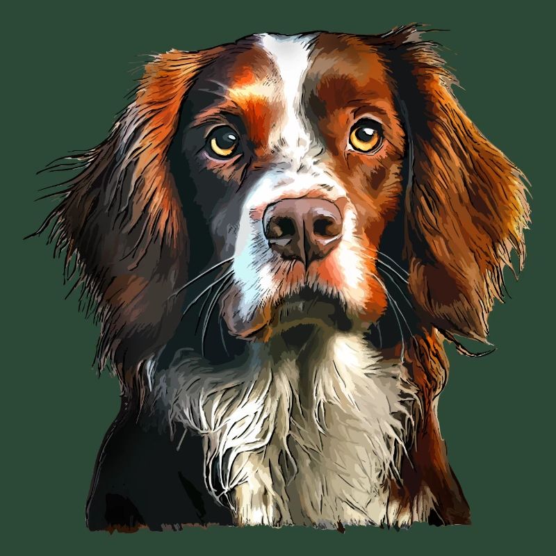 Bretagnischer Spaniel