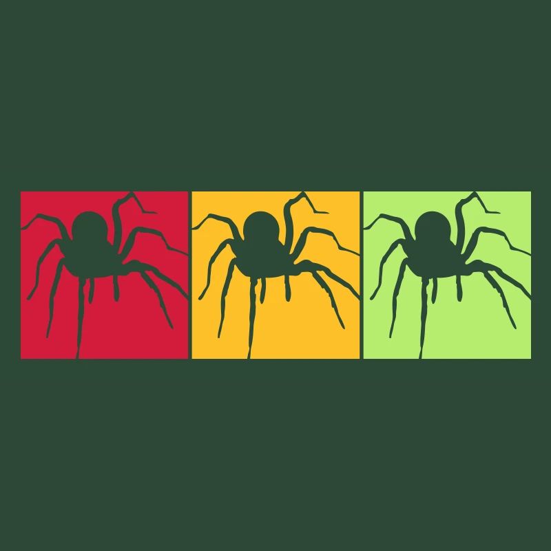 colors squares pattern colorful spider of
