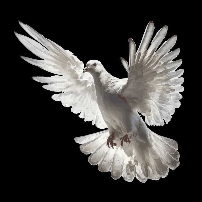 Firedenstaube Geschenk