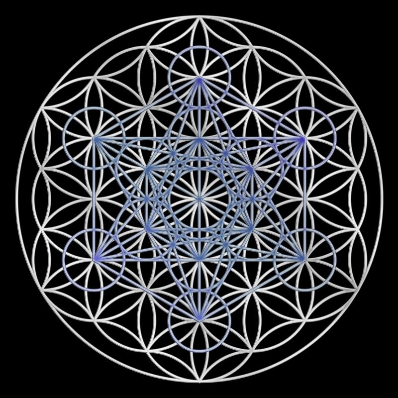 Le cube de Metatron - Fleur de la vie
