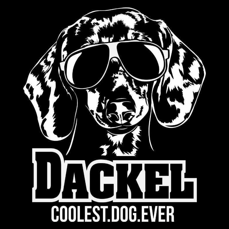 DACKEL plus cool chien