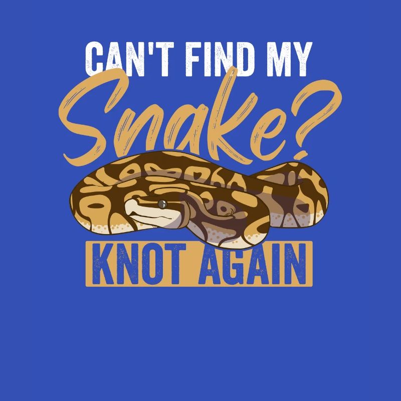 Königspython Ball Python