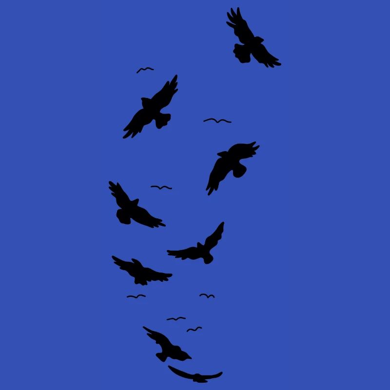 Ravens birds fly