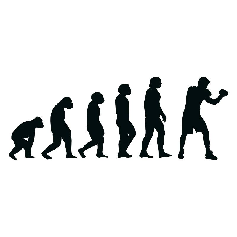Evolution Boxe - Bo
