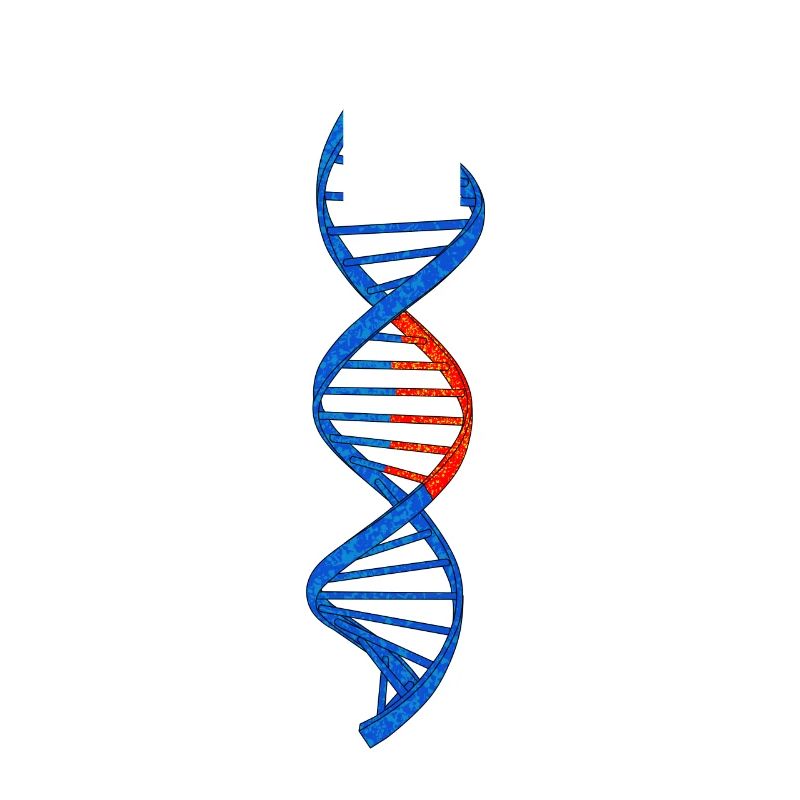 Test ADN double hélice ADN Idée cadeau pour chercheurs