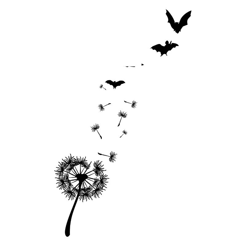 Fledermaus Pusteblume