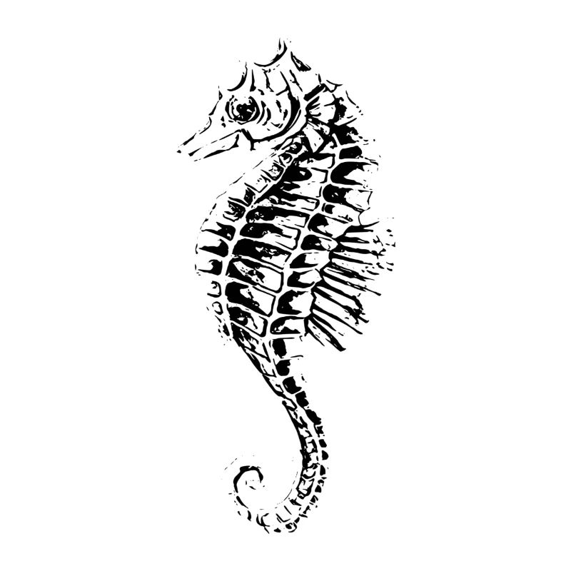 Seepferdchen