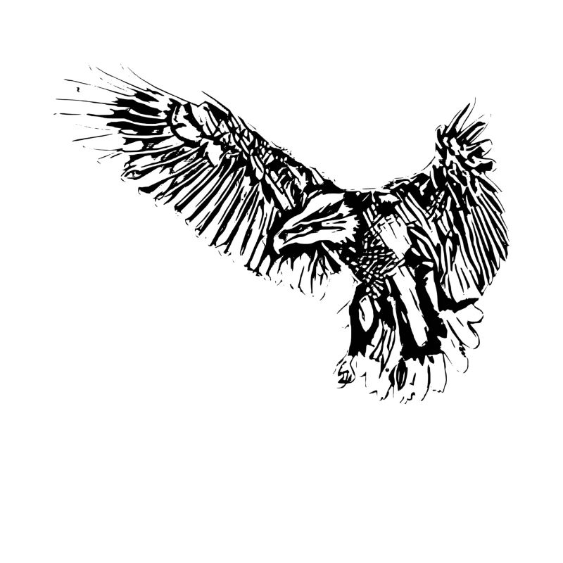Eagle
