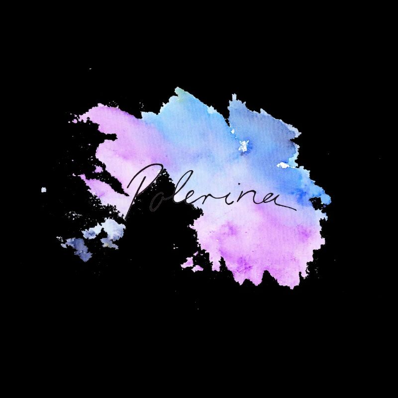 POLE DANCE POLE dancer gift idea gift