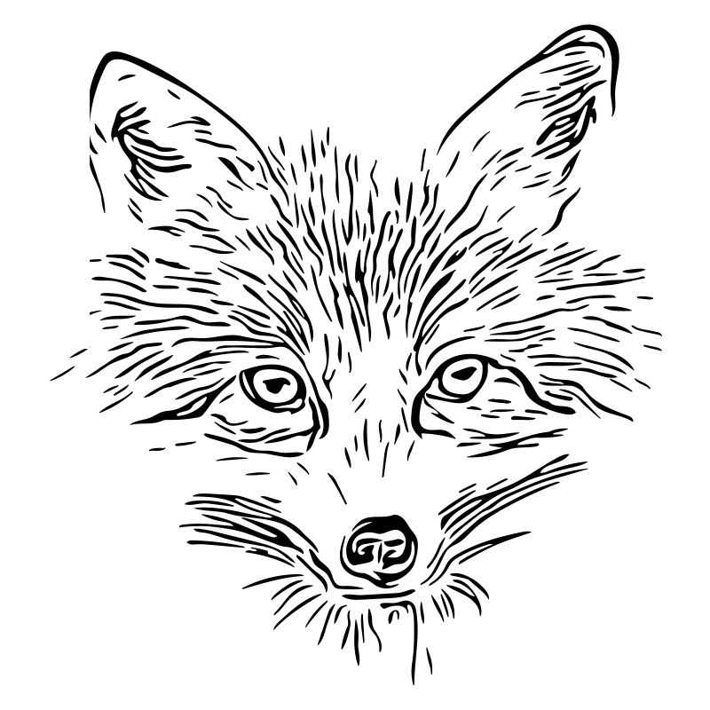 Fuchs Gesicht - Fox Face