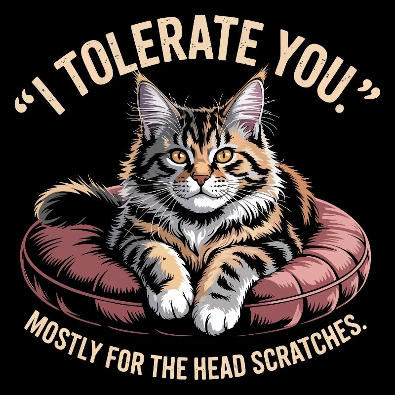 Head Scratch Cat