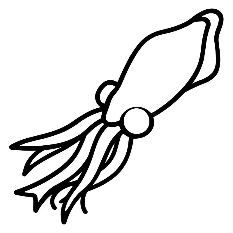 squid