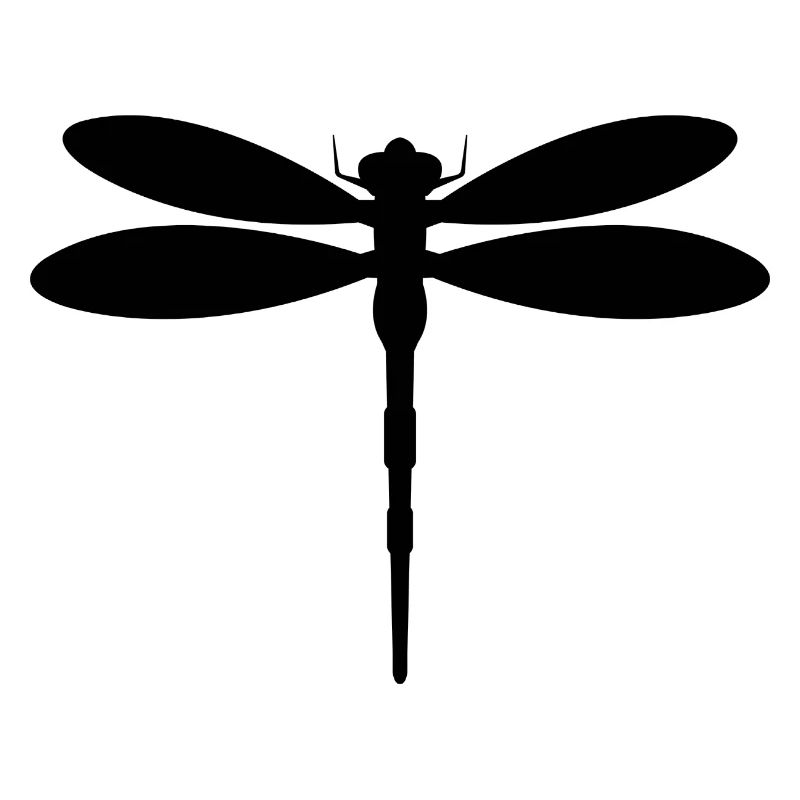 Libellule