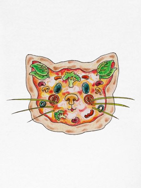 Chat à pizza