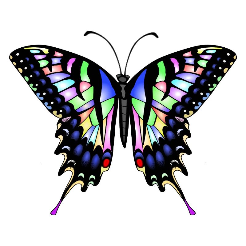 Papillon à queue d’aronde