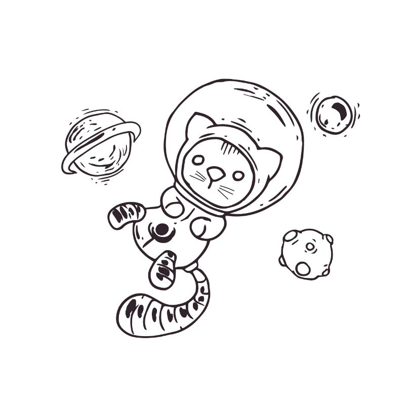 Chat dans l'espace