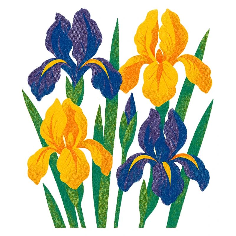 Harmonie d’iris : Fleurs dorées et indigo