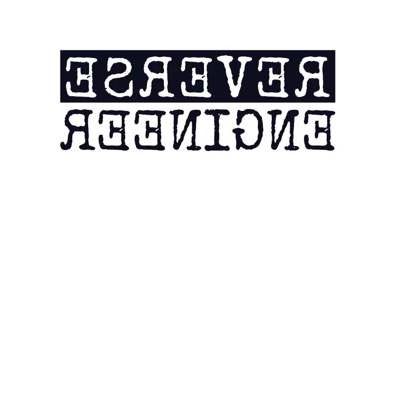 Reverse Engineer Softwareingenieur Developer