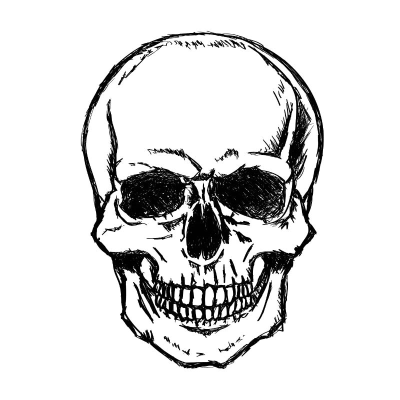 Skull Skull Skull Skull
