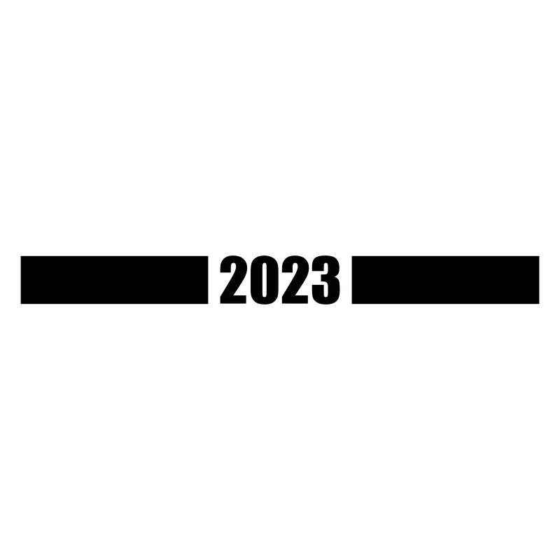2023 year