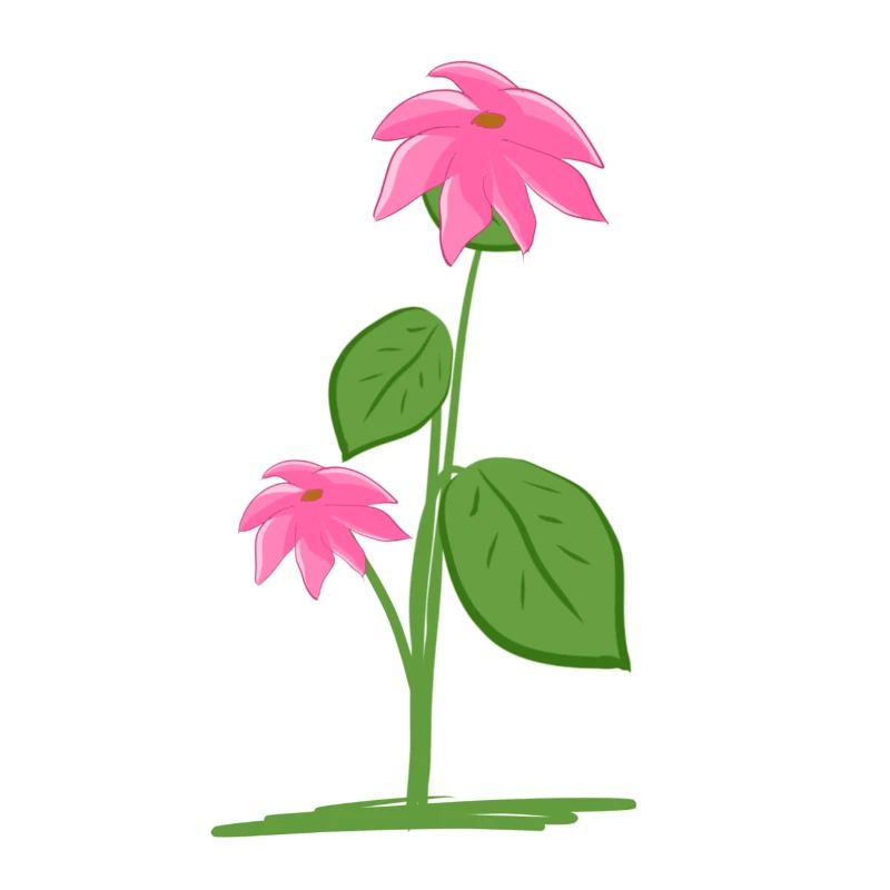 Planter des fleurs végétales