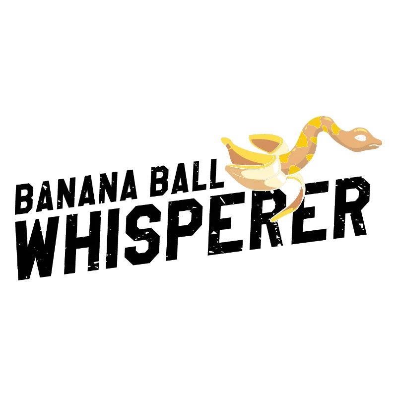 King python design pour les amateurs de serpents