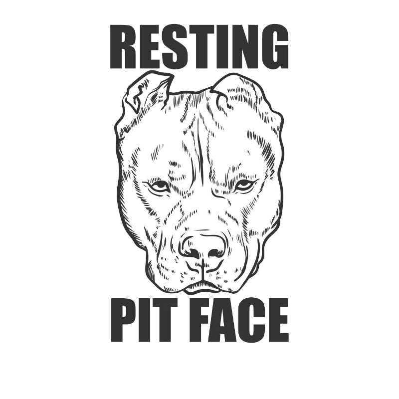 Resting Pit Face Pit Bull Hund Haustier