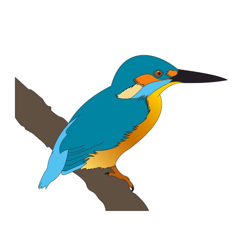 Eisvogel
