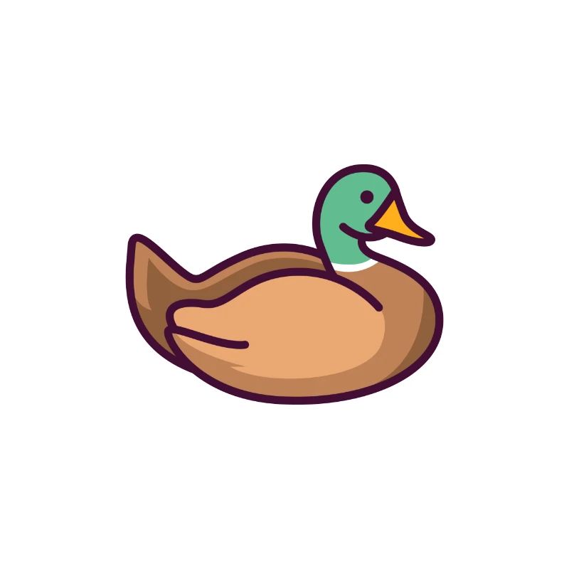 canard
