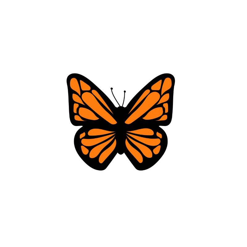 papillon orange