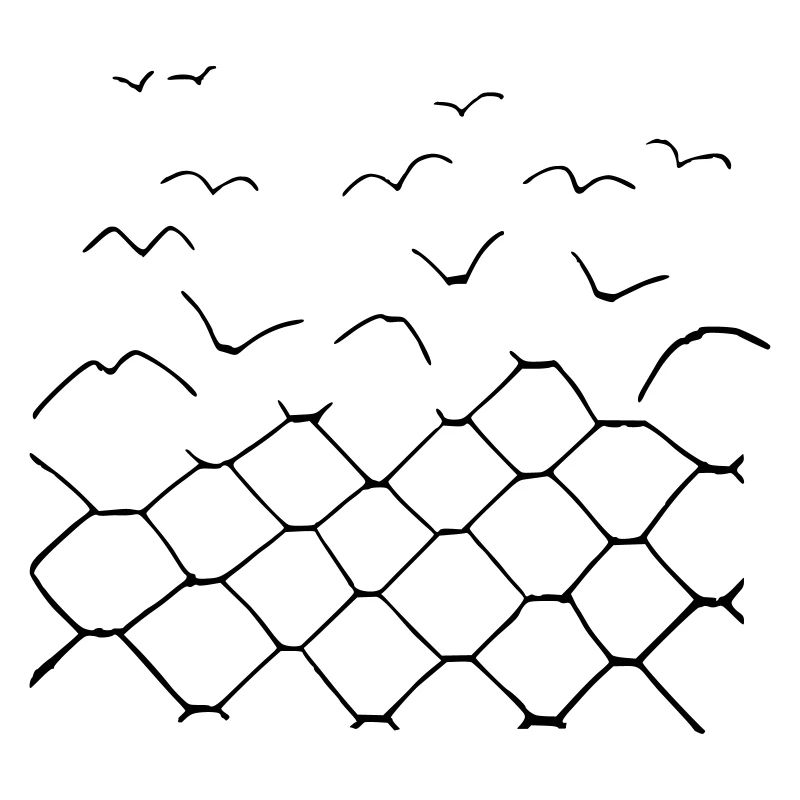Maschendrahtzaun Vögel